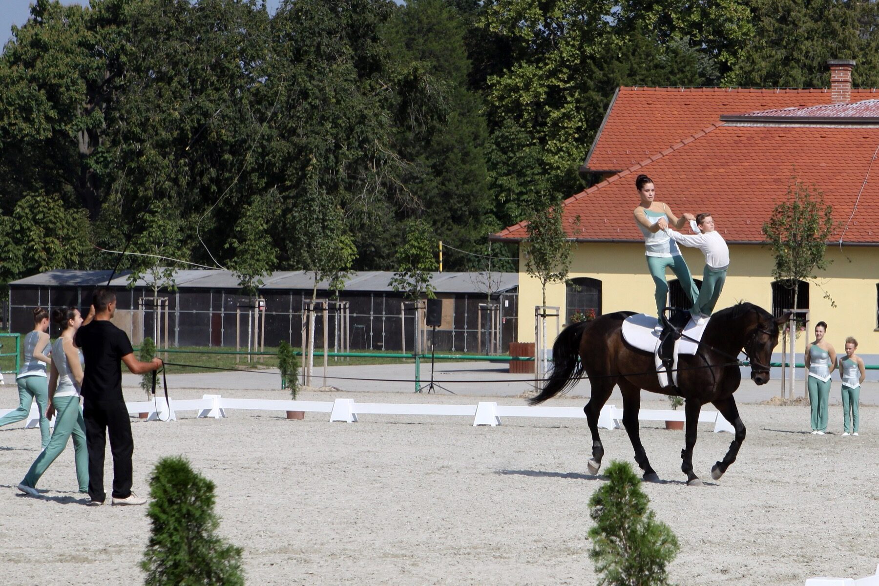A vaulting team practices gymnastics on a cantering horse in an outdoor arena