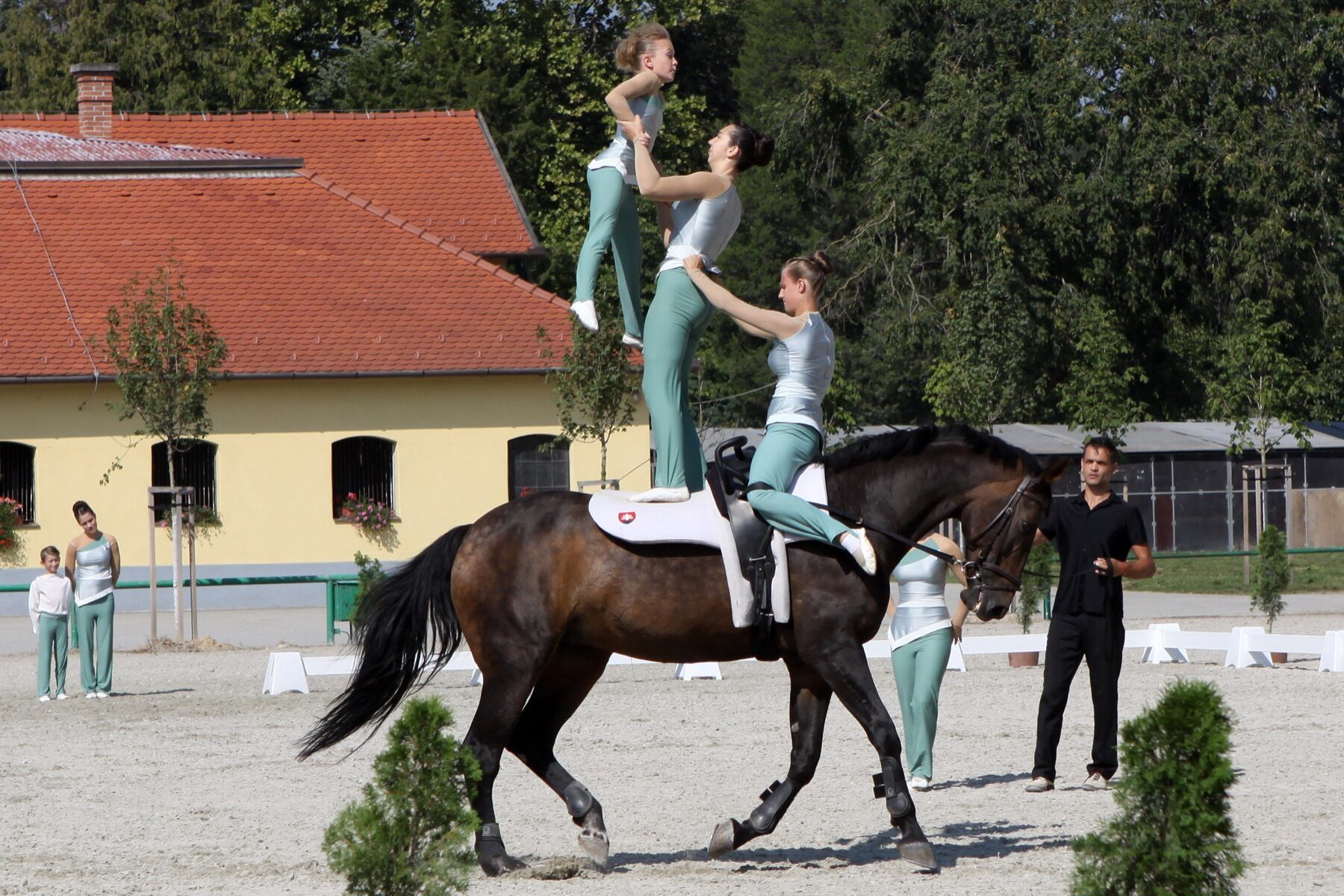 A vaulting team builds a standing pyramid on a moving horse while the lunger guides from the center of the circle